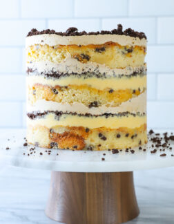 passionfruit layer cake with chocolate crumbles