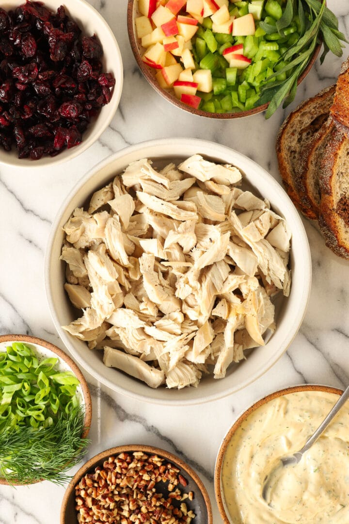 all of the ingredients to make turkey salad, including apples, celery, cranberries, pecans, and dressing