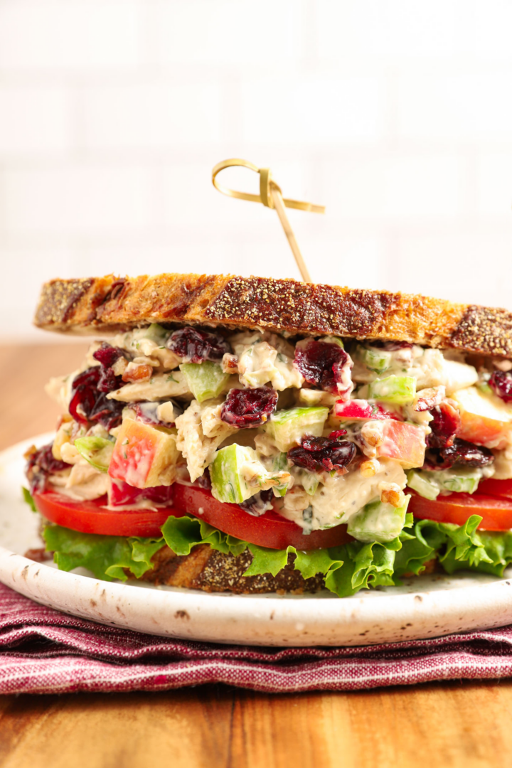 a turkey sandwich on a white plate, with cranberries, apple and celery