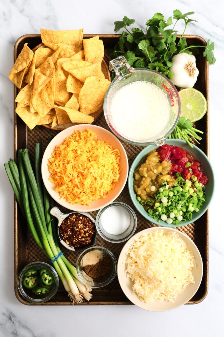 tray of ingredients used to make queso dip, including cheese, milk, green onions, tomatoes and fresh cilantro.