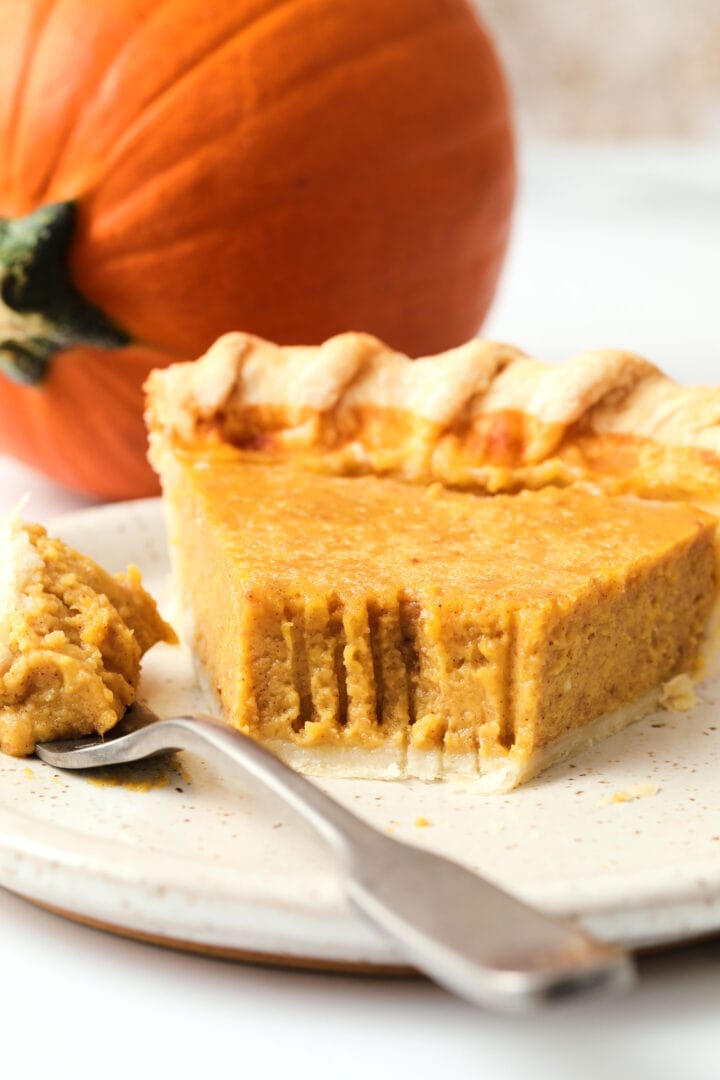 slice of pumpkin pie made with fresh pumpkin puree, there is a small whole pumpkin off to the left.